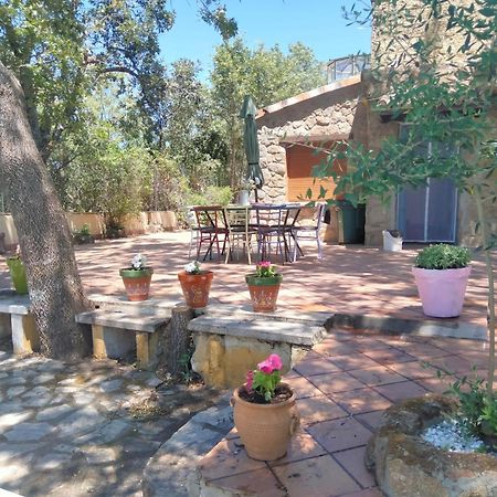Casa Rural Vinas Perdidas Béjar Eksteriør bilde