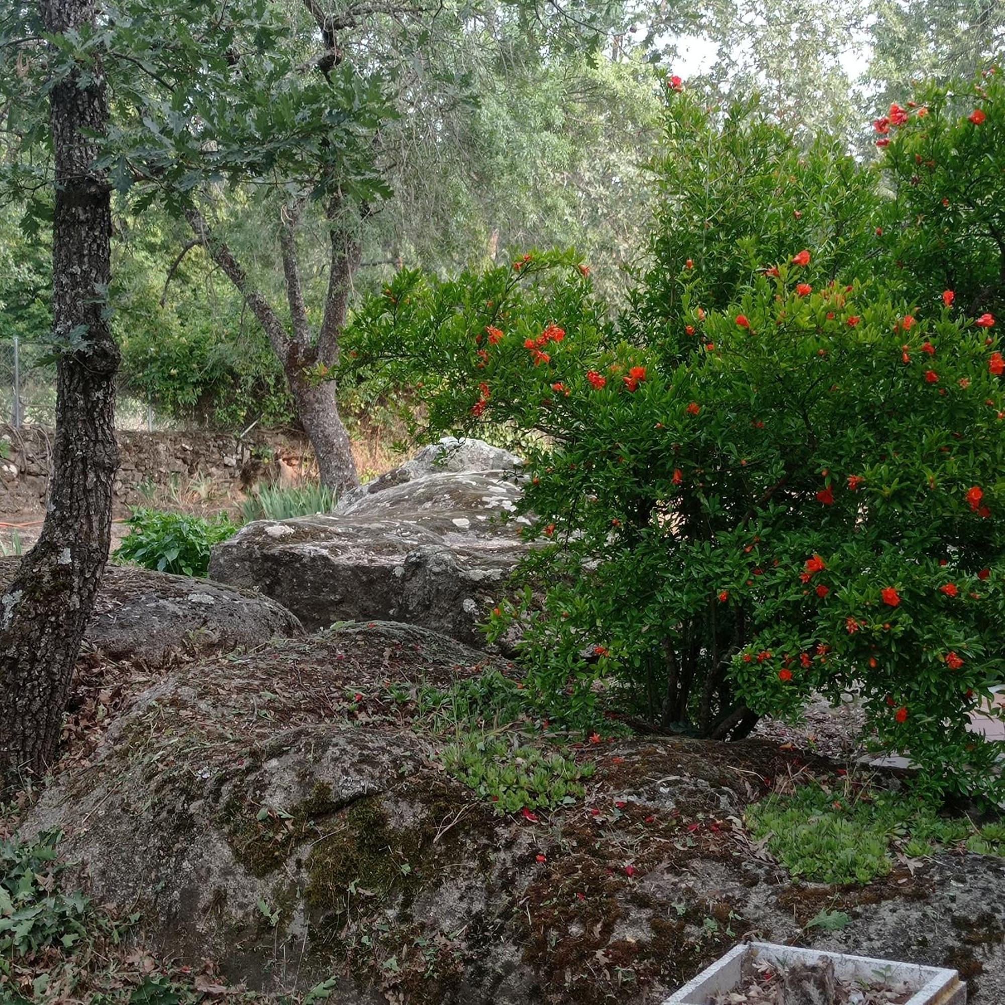 Casa Rural Vinas Perdidas Béjar Eksteriør bilde